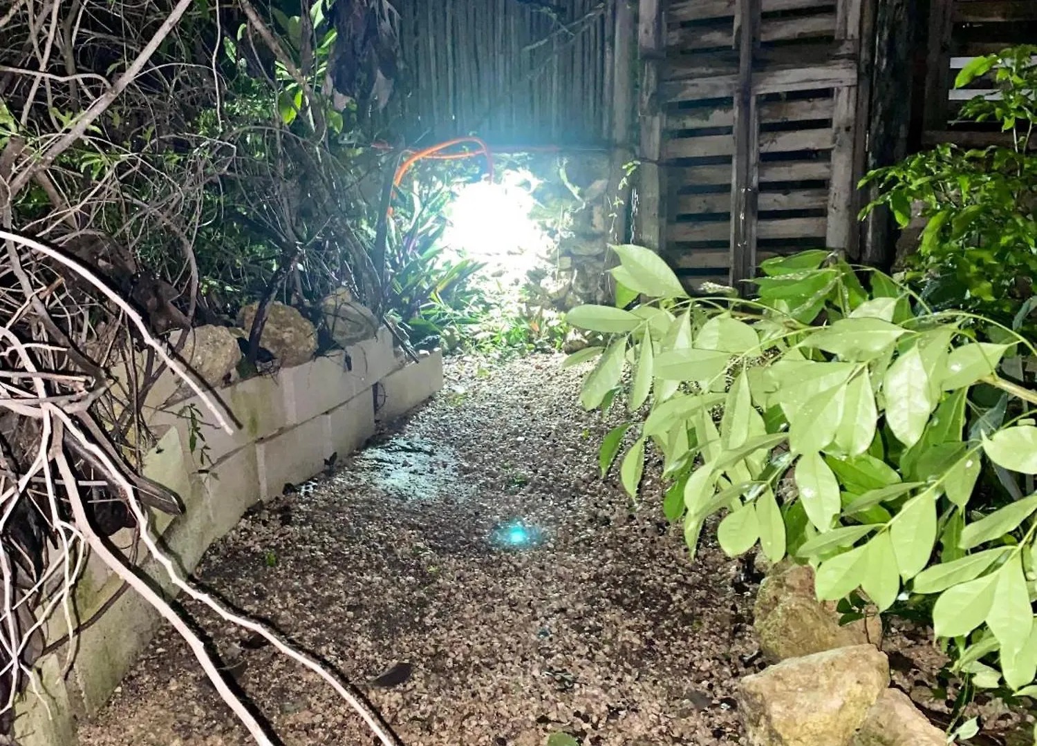 Casa Kuma Villa Tulum