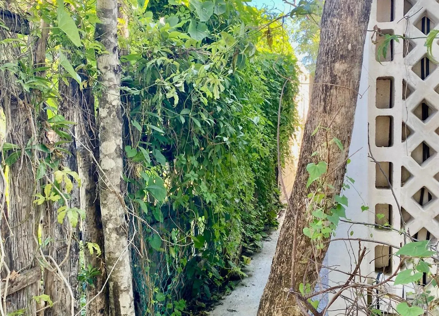 Casa Kuma Villa Tulum 0*,